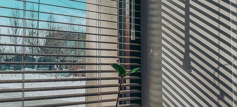 Commercial Window Blinds in Orleans, ON