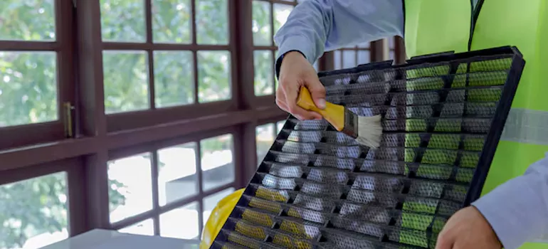 Traditional Window Grille Installation Options in Orleans, ON