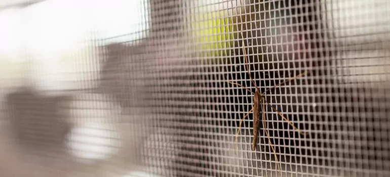 Repair Mosquito Mesh For Windows in Orleans, Ontario