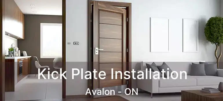  Kick Plate Installation Avalon - ON