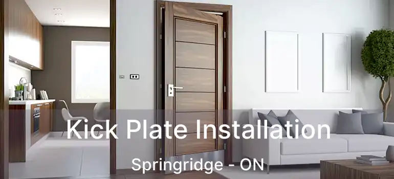  Kick Plate Installation Springridge - ON