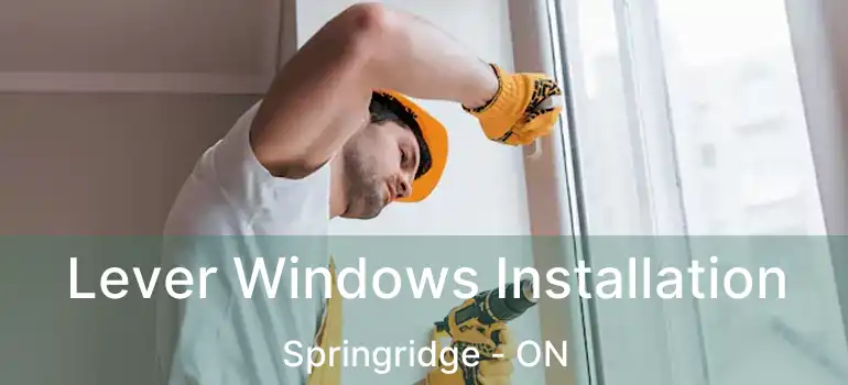  Lever Windows Installation Springridge - ON