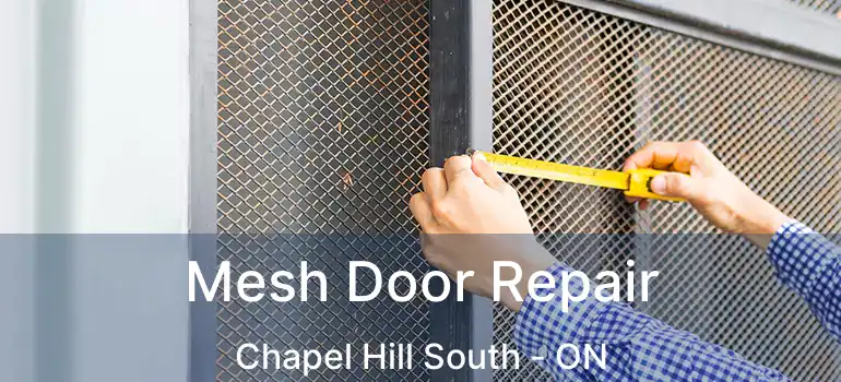  Mesh Door Repair Chapel Hill South - ON