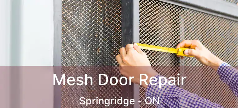  Mesh Door Repair Springridge - ON