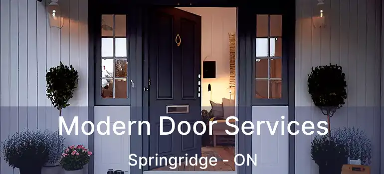  Modern Door Services Springridge - ON