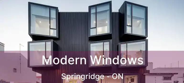  Modern Windows Springridge - ON
