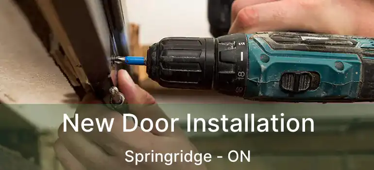  New Door Installation Springridge - ON