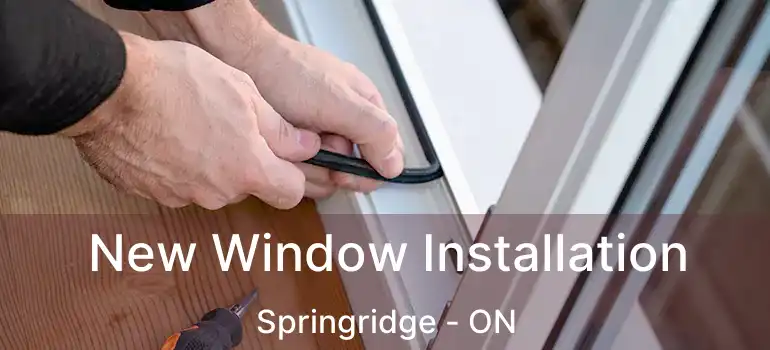  New Window Installation Springridge - ON