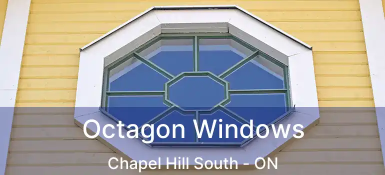  Octagon Windows Chapel Hill South - ON