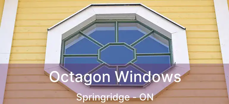  Octagon Windows Springridge - ON