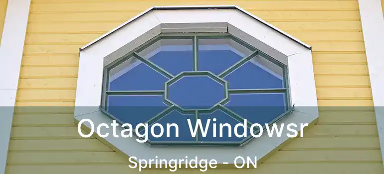 Octagon Windowsr Springridge - ON