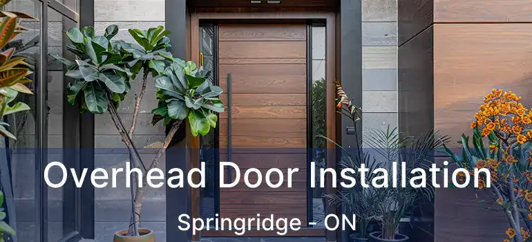  Overhead Door Installation Springridge - ON