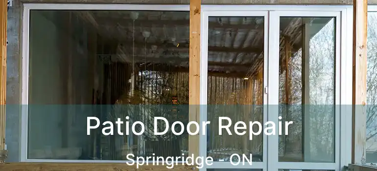  Patio Door Repair Springridge - ON