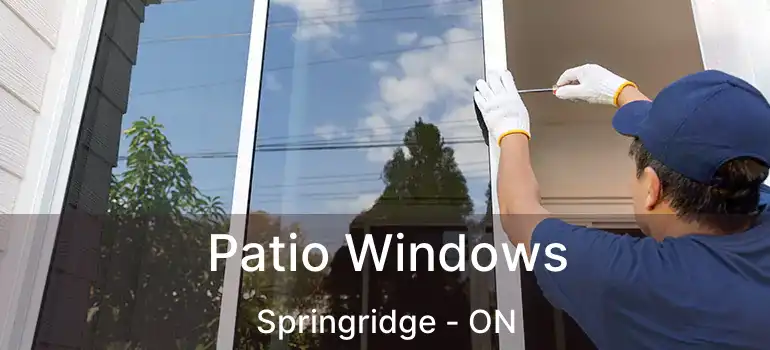  Patio Windows Springridge - ON