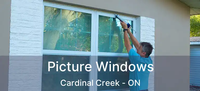  Picture Windows Cardinal Creek - ON