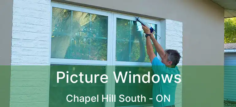  Picture Windows Chapel Hill South - ON