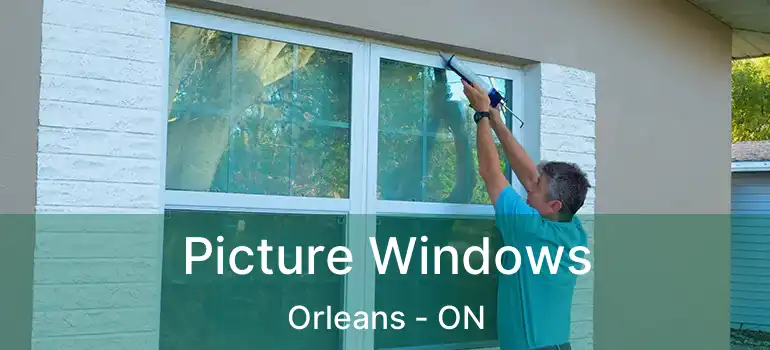  Picture Windows Orleans - ON