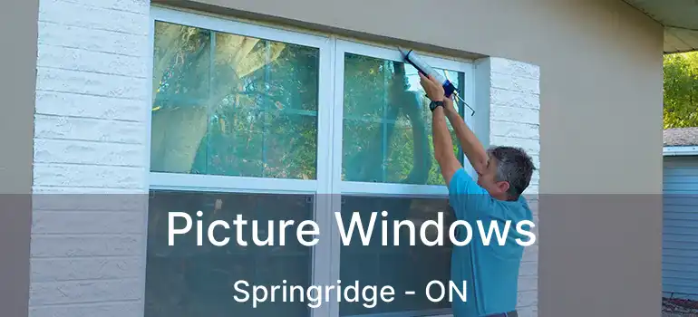  Picture Windows Springridge - ON