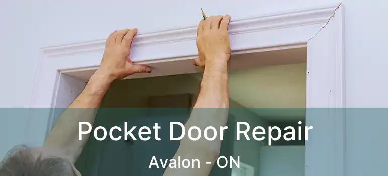  Pocket Door Repair Avalon - ON