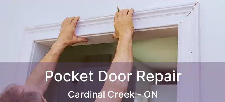  Pocket Door Repair Cardinal Creek - ON