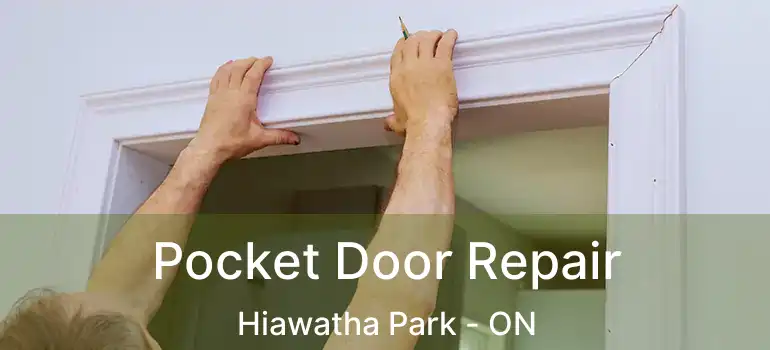  Pocket Door Repair Hiawatha Park - ON