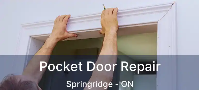  Pocket Door Repair Springridge - ON