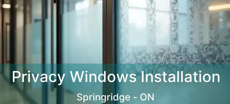  Privacy Windows Installation Springridge - ON