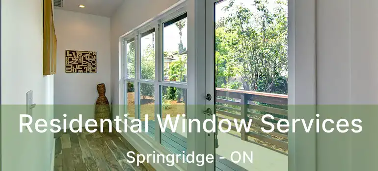  Residential Window Services Springridge - ON