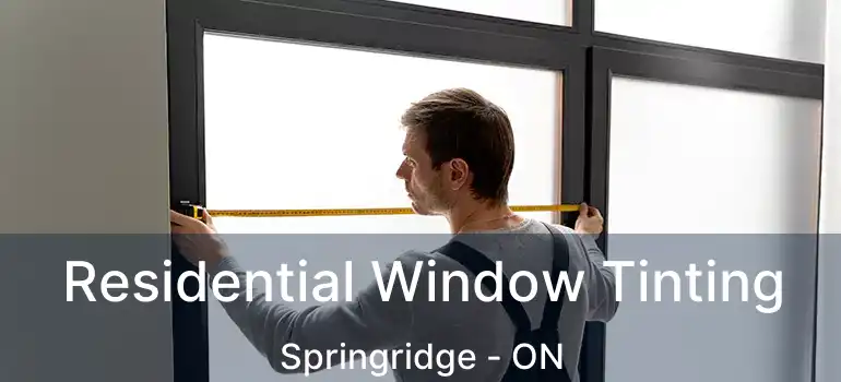  Residential Window Tinting Springridge - ON