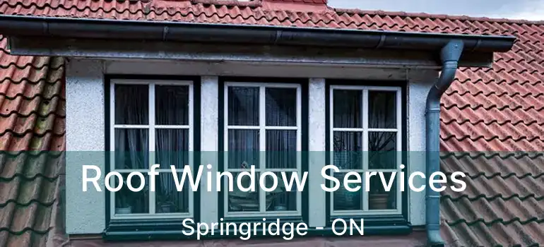  Roof Window Services Springridge - ON