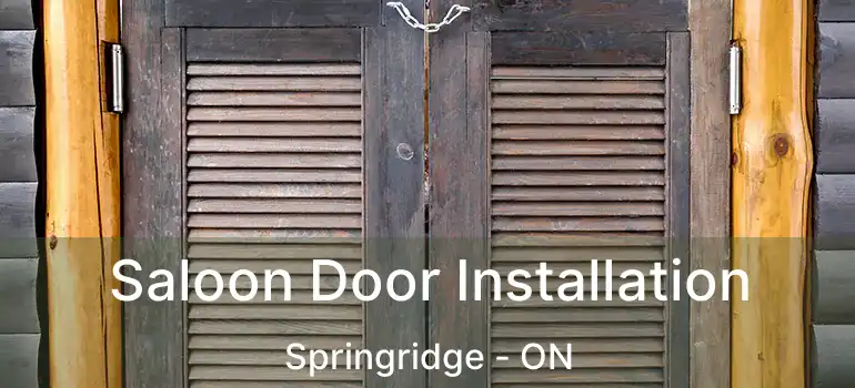  Saloon Door Installation Springridge - ON