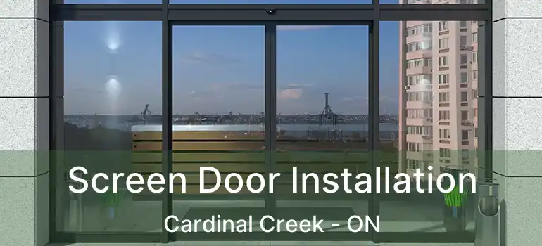  Screen Door Installation Cardinal Creek - ON