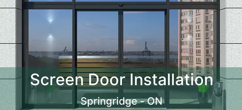  Screen Door Installation Springridge - ON