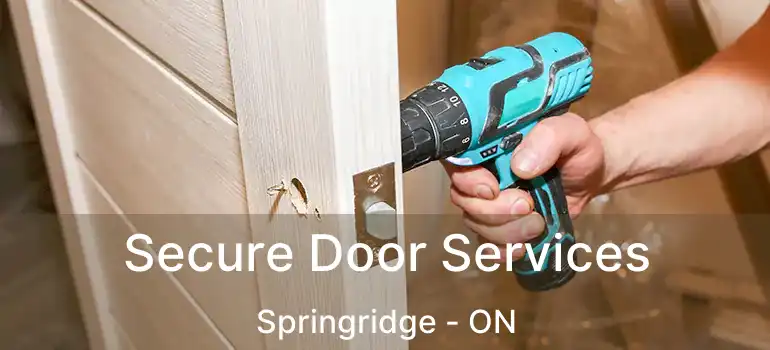  Secure Door Services Springridge - ON