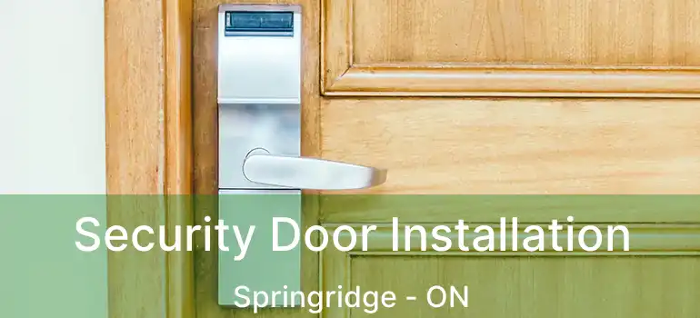  Security Door Installation Springridge - ON