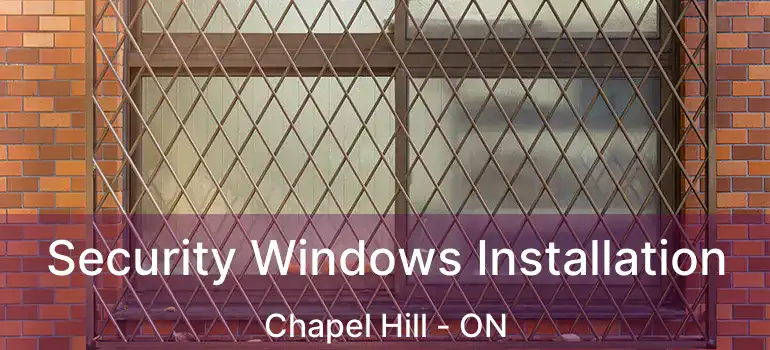  Security Windows Installation Chapel Hill - ON