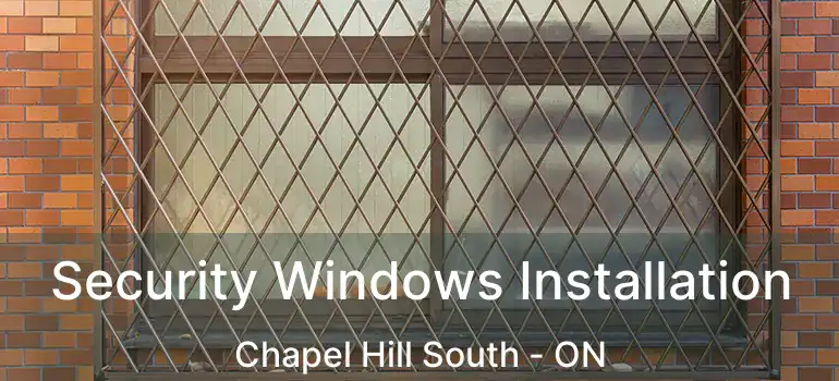  Security Windows Installation Chapel Hill South - ON