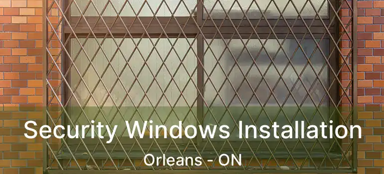  Security Windows Installation Orleans - ON