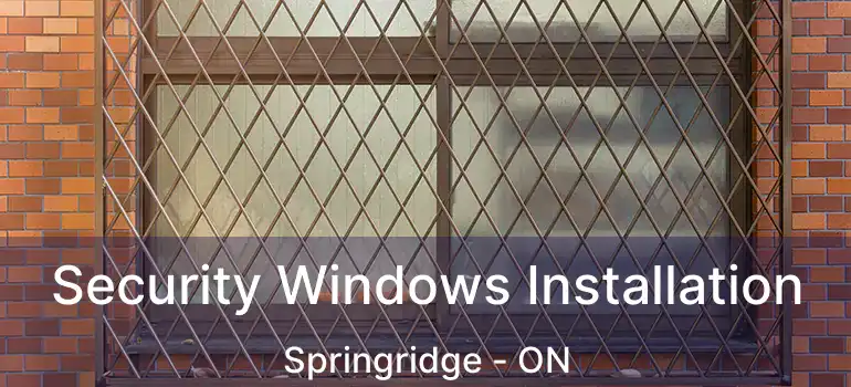  Security Windows Installation Springridge - ON