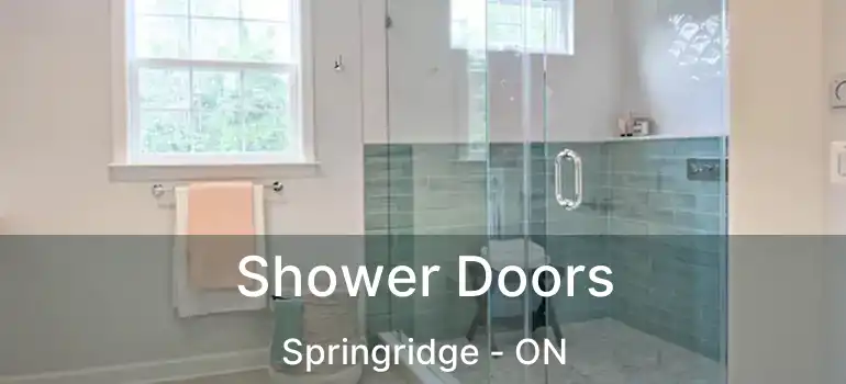  Shower Doors Springridge - ON