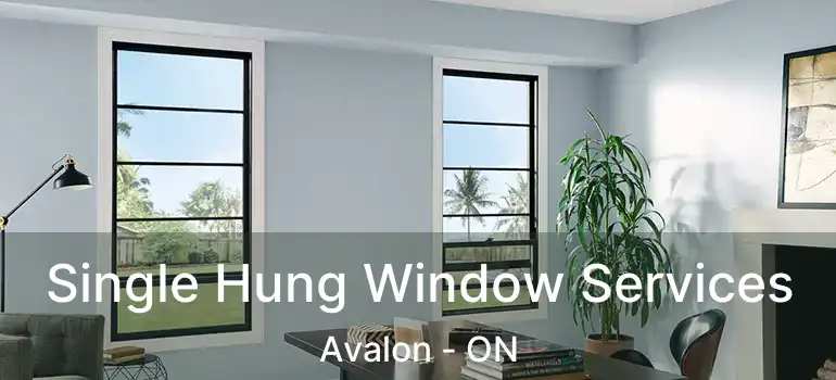  Single Hung Window Services Avalon - ON