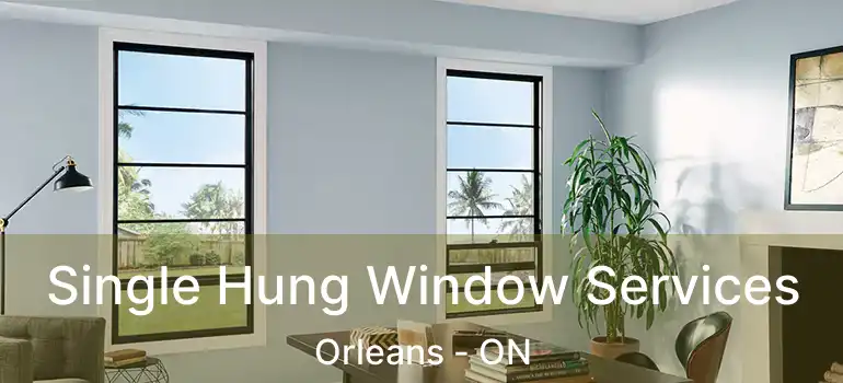  Single Hung Window Services Orleans - ON
