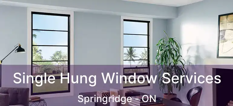  Single Hung Window Services Springridge - ON