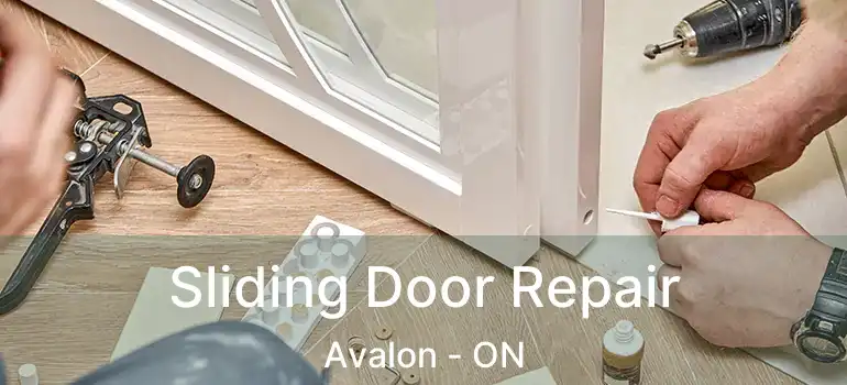  Sliding Door Repair Avalon - ON