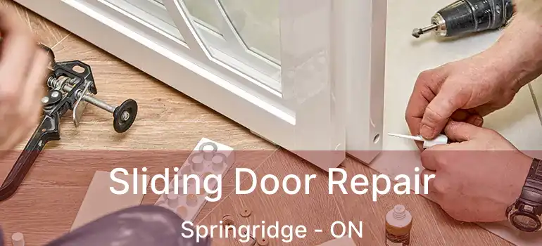  Sliding Door Repair Springridge - ON