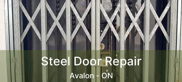  Steel Door Repair Avalon - ON