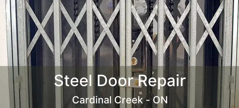  Steel Door Repair Cardinal Creek - ON