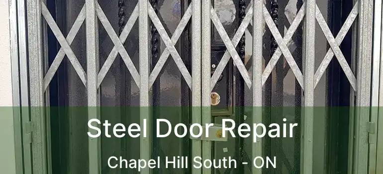  Steel Door Repair Chapel Hill South - ON