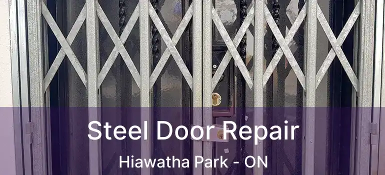  Steel Door Repair Hiawatha Park - ON