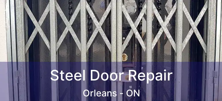  Steel Door Repair Orleans - ON